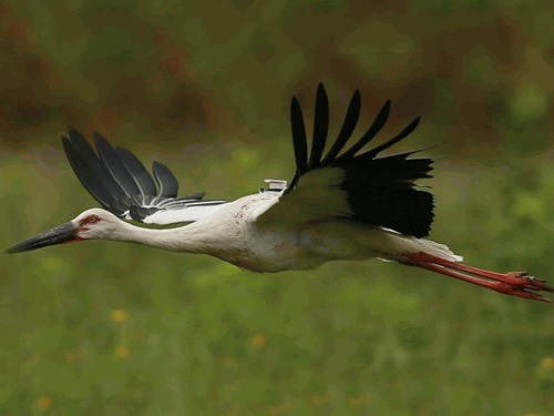 2014�궫������׷��