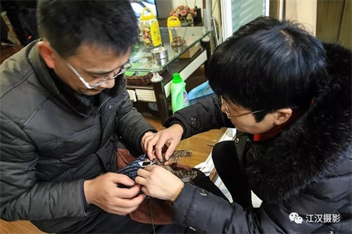 97622��������Ʒ��,����Ұ������׷��,��������׷����,����׷����