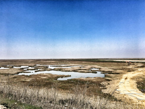 97622��������Ʒ��,����Ұ������׷��,��������׷����,����׷����