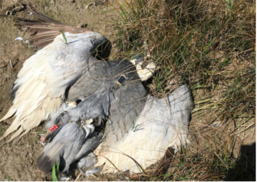 97622��������Ʒ��,����Ұ������׷��,��������׷����,����׷����