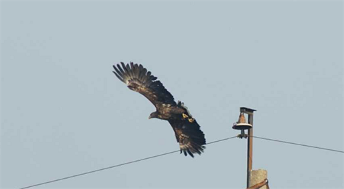 97622��������Ʒ��,����Ұ������׷��,��������׷����,����׷����