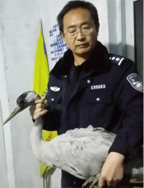 97622��������Ʒ��,����Ұ������׷��,��������׷����,����׷����