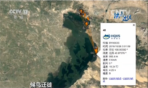 97622��������Ʒ��,����Ұ������׷��,��������׷����,����׷����