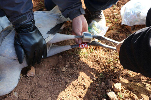 97622��������Ʒ��,����Ұ������׷��,��������׷����,����׷����