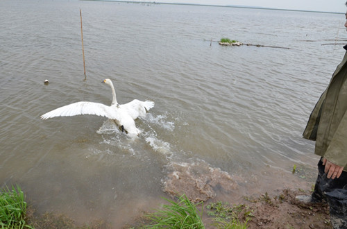 97622��������Ʒ��,����Ұ������׷��,��������׷����,����׷����