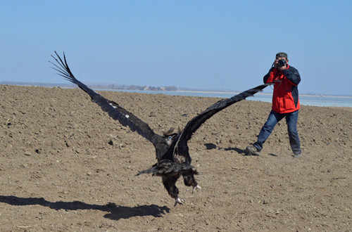 97622��������Ʒ��,����Ұ������׷��,��������׷����,����׷����