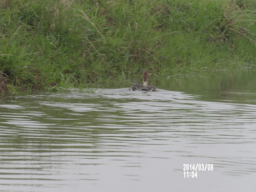 97622��������Ʒ��,����Ұ������׷��,��������׷����,����׷����