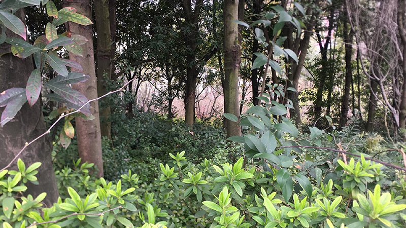 97622��������Ʒ��,����Ұ������׷��,��������׷����,����׷����