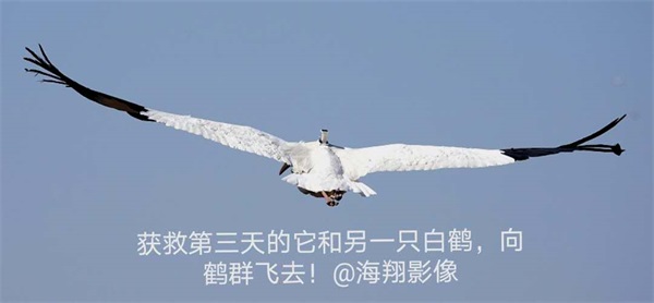 97622��������Ʒ��,����Ұ������׷��,��������׷����,����׷����