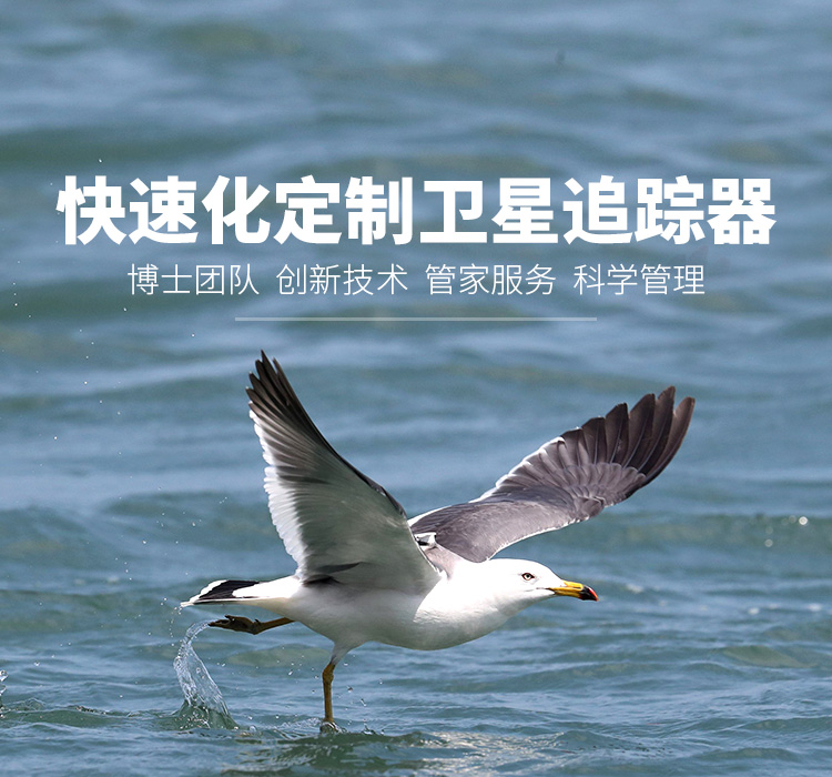 97622��������Ʒ��_����Ұ������׷��|��������׷����