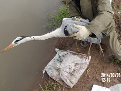 97622��������Ʒ��,����Ұ������׷��,��������׷����,����׷����