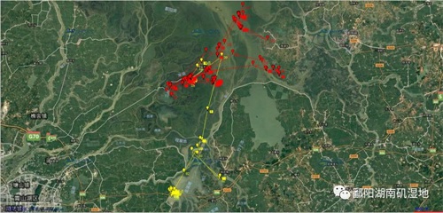 97622��������Ʒ��,����Ұ������׷��,��������׷����,����׷����