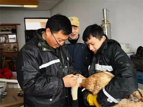 97622��������Ʒ��,����Ұ������׷��,��������׷����,����׷����