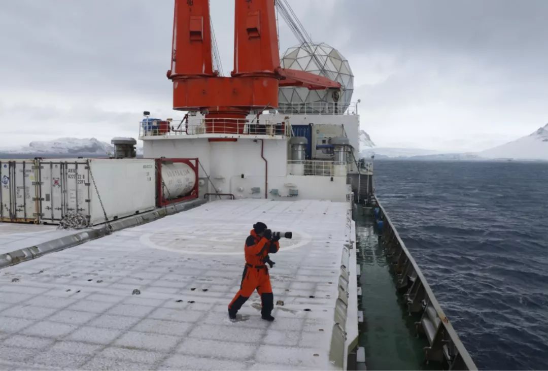 97622��������Ʒ��,����Ұ������׷��,��������׷����,����׷����