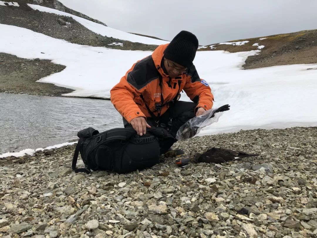 97622��������Ʒ��,����Ұ������׷��,��������׷����,����׷����