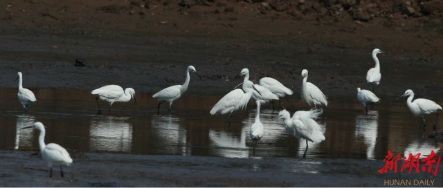 ���������Ͳ�,�Ͳ���,�Ͳ��,����ʱ���,�����,�Ͳ����Ǯ,�Ͳ�������,�Ͳ������