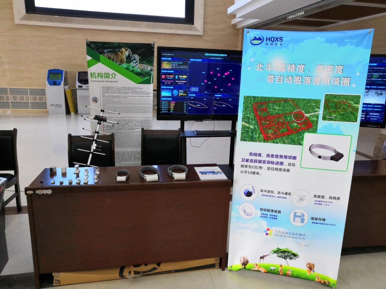 ���������Ͳ�,�Ͳ���,�Ͳ��,����ʱ���,�����,�Ͳ����Ǯ,�Ͳ�������,�Ͳ������