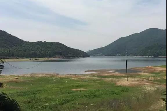 ���������Ͳ�,�Ͳ���,�Ͳ��,����ʱ���,�����,�Ͳ����Ǯ,�Ͳ�������,�Ͳ������