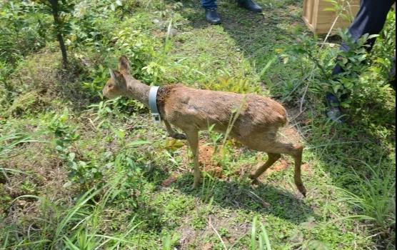 ���������Ͳ�,�Ͳ���,�Ͳ��,����ʱ���,�����,�Ͳ����Ǯ,�Ͳ�������,�Ͳ������