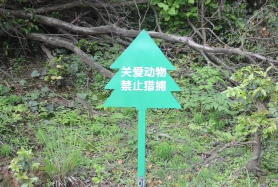 ���������Ͳ�,�Ͳ���,�Ͳ��,����ʱ���,�����,�Ͳ����Ǯ,�Ͳ�������,�Ͳ������