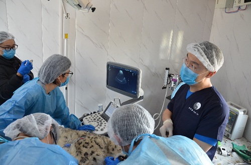 97622��������Ʒ��,����Ұ������׷��,��������׷����,����׷����