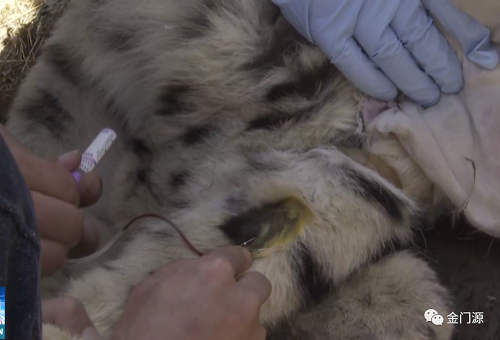 97622��������Ʒ��,����Ұ������׷��,��������׷����,����׷����