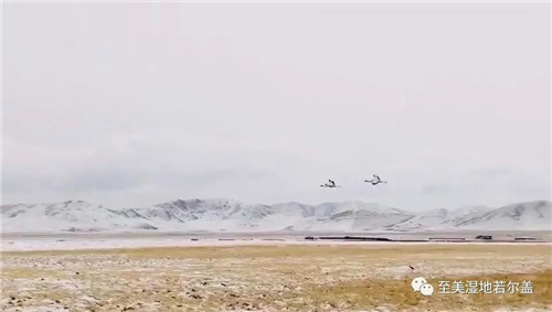 97622��������Ʒ��,����Ұ������׷��,��������׷����,����׷����