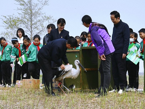 97622��������Ʒ��,����Ұ������׷��,��������׷����,����׷����