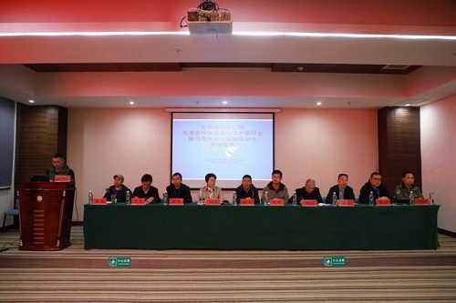 97622��������Ʒ��,����Ұ������׷��,��������׷����,����׷����