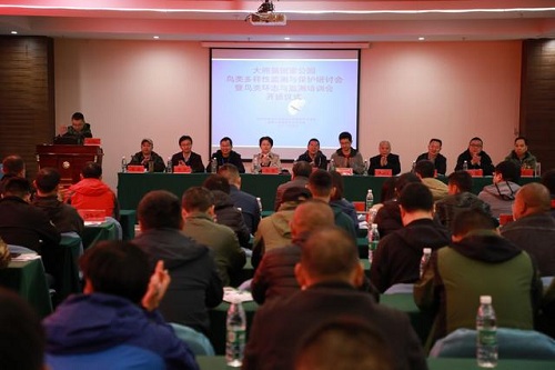 97622��������Ʒ��,����Ұ������׷��,��������׷����,����׷����