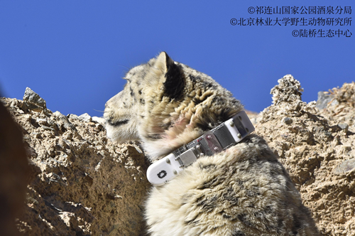 97622��������Ʒ��(�й���)-�ٷ���վ