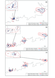 97622��������Ʒ��,����Ұ������׷��,��������׷����,����׷����