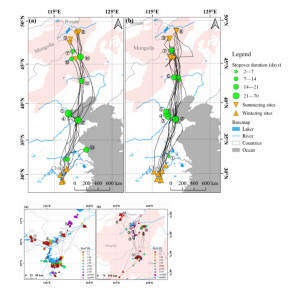 97622��������Ʒ��,����Ұ������׷��,��������׷����,����׷����