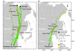 97622��������Ʒ��,����Ұ������׷��,��������׷����,����׷����