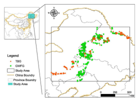 97622��������Ʒ��,����Ұ������׷��,��������׷����,����׷����