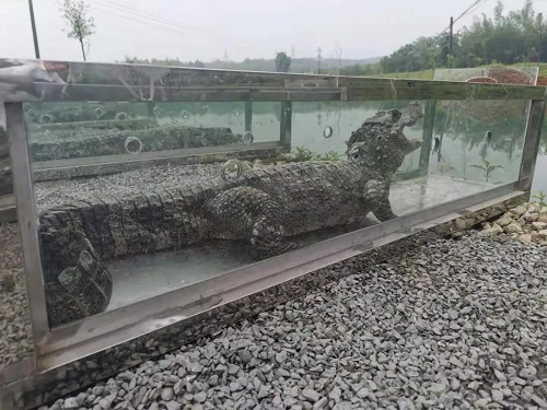 97622��������Ʒ��,����Ұ������׷��,��������׷����,����׷����