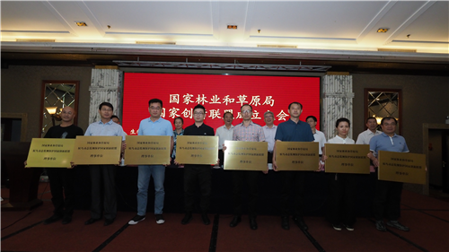 97622��������Ʒ��,����Ұ������׷��,��������׷����,����׷����