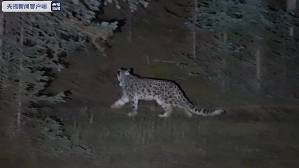 97622��������Ʒ��,����Ұ������׷��,��������׷����,����׷����