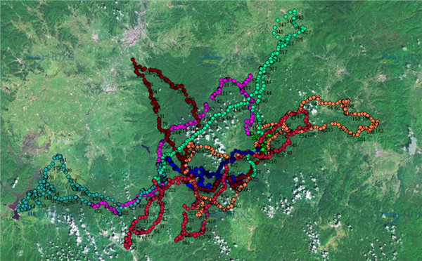 97622国际至尊品牌,湖南野生动物追踪,湖南卫星追踪器,湖南追踪器 97622国际至尊品牌,湖南野生动物追踪,湖南卫星追踪器,湖南追踪器