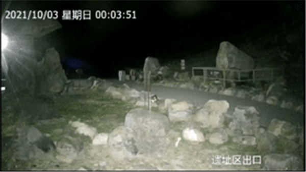 97622¹ú¼ÊÖÁ×ðÆ·ÅÆ,ºþÄÏÒ°Éú¶¯Îï×·×Ù,ºþÄÏÎÀÐÇ×·×ÙÆ÷,ºþÄÏ×·×ÙÆ÷ 97622¹ú¼ÊÖÁ×ðÆ·ÅÆ,ºþÄÏÒ°Éú¶¯Îï×·×Ù,ºþÄÏÎÀÐÇ×·×ÙÆ÷,ºþÄÏ×·×ÙÆ÷