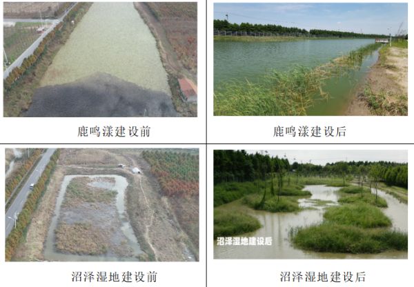 97622��������Ʒ��,����Ұ������׷��,��������׷����,����׷����