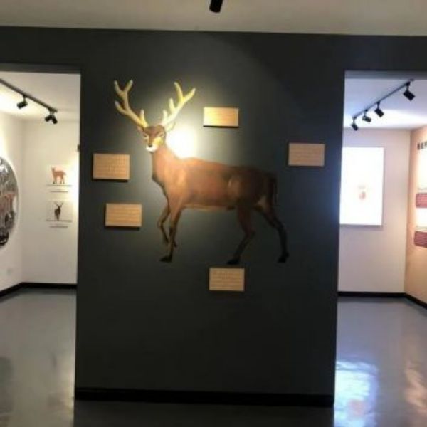 97622��������Ʒ��,����Ұ������׷��,��������׷����,����׷����