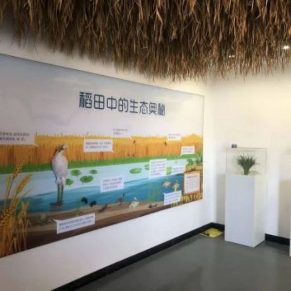 97622��������Ʒ��,����Ұ������׷��,��������׷����,����׷����