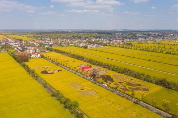 97622��������Ʒ��,����Ұ������׷��,��������׷����,����׷����