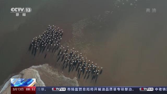 97622��������Ʒ��,����Ұ������׷��,��������׷����,����׷����