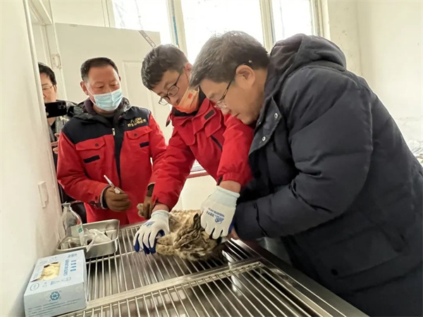 97622��������Ʒ��,����Ұ������׷��,��������׷����,����׷����