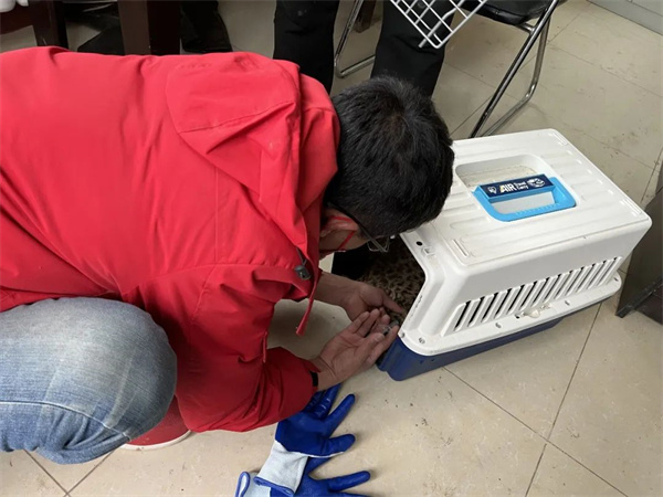 97622��������Ʒ��,����Ұ������׷��,��������׷����,����׷����