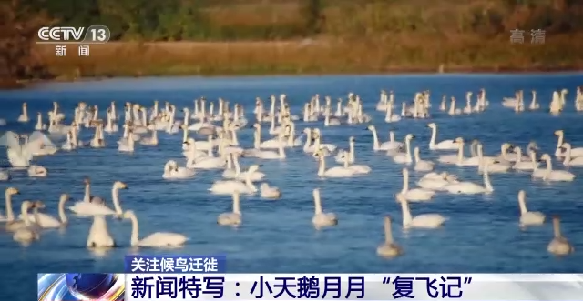 97622��������Ʒ��,����Ұ������׷��,��������׷����,����׷����