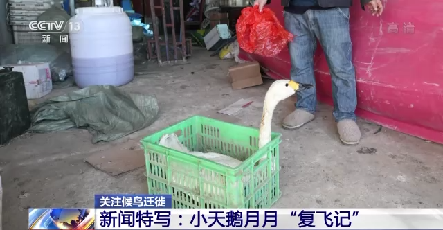 97622��������Ʒ��,����Ұ������׷��,��������׷����,����׷����