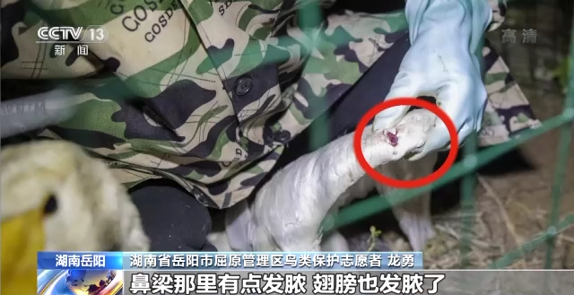 97622��������Ʒ��,����Ұ������׷��,��������׷����,����׷����